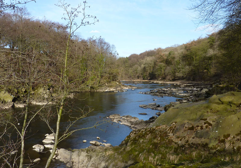 River Ribble